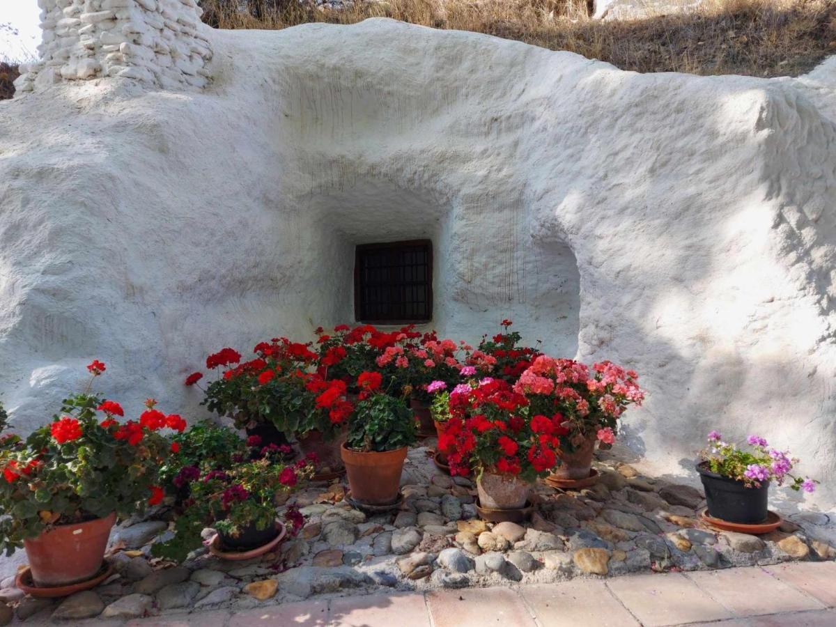 Cueva El Guindas Баса Екстер'єр фото
